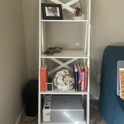 Bookcase-ladder shelf