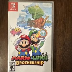 Mario & Luigi Brother ship Switch Game