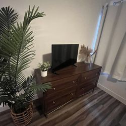 32 inch Insignia Roku TV