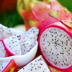 Pink White Dragon Fruit Seedling Plant 1 Gallon