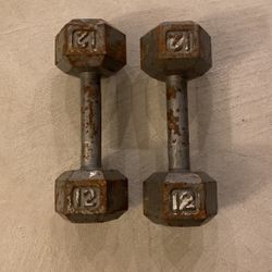 12 LB Iron Dumbbells