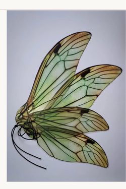 Fairy wings