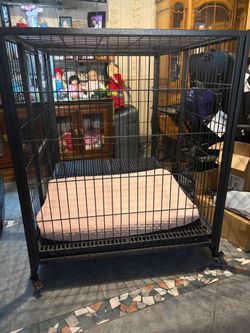 Dog kennel