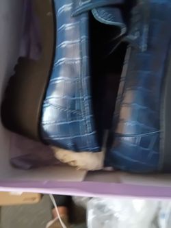 Steve Madden loafers