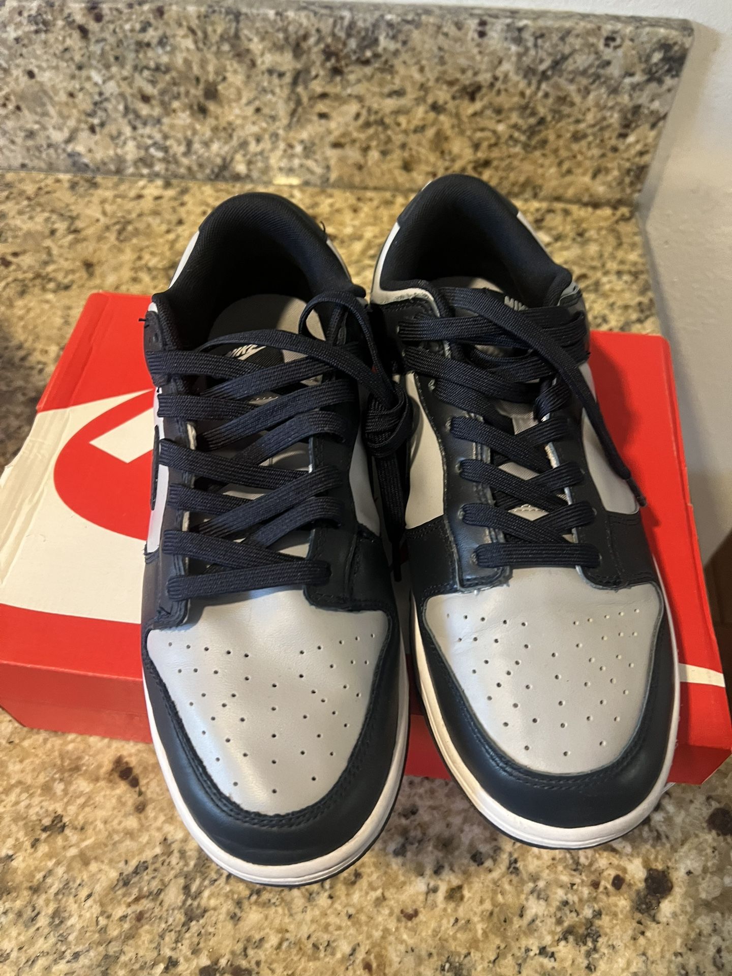 Sz 10 Georgetown Dunks