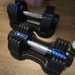 Lifepro Adjustable Dumbbels Pair Set With Rack