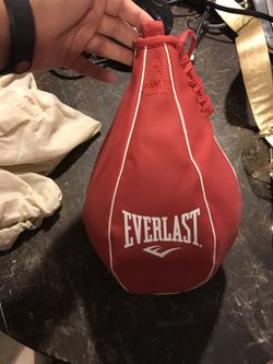 Everlast punching bag