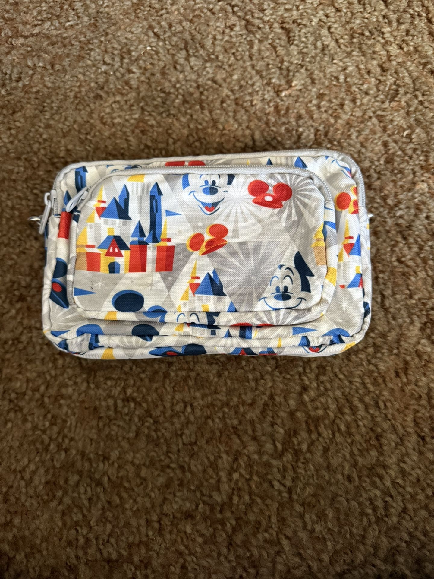Disneyland Bag