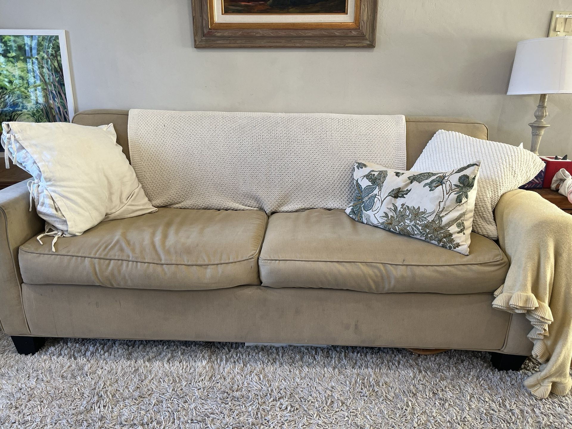 Free Sleeper Sofa