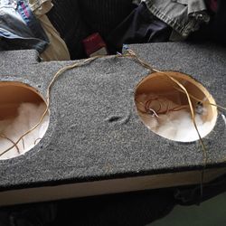 Custom Subwoofer  12"