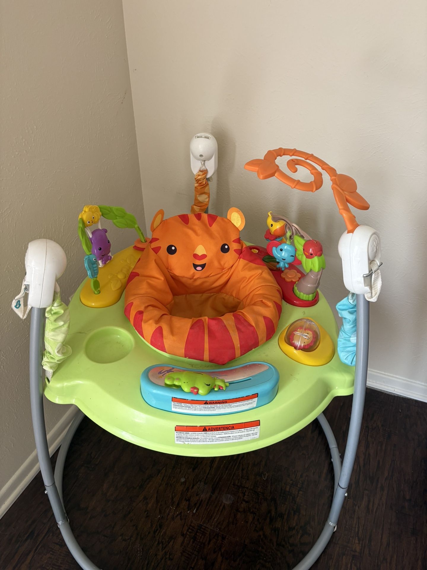 Fisher Price Baby Bouncer