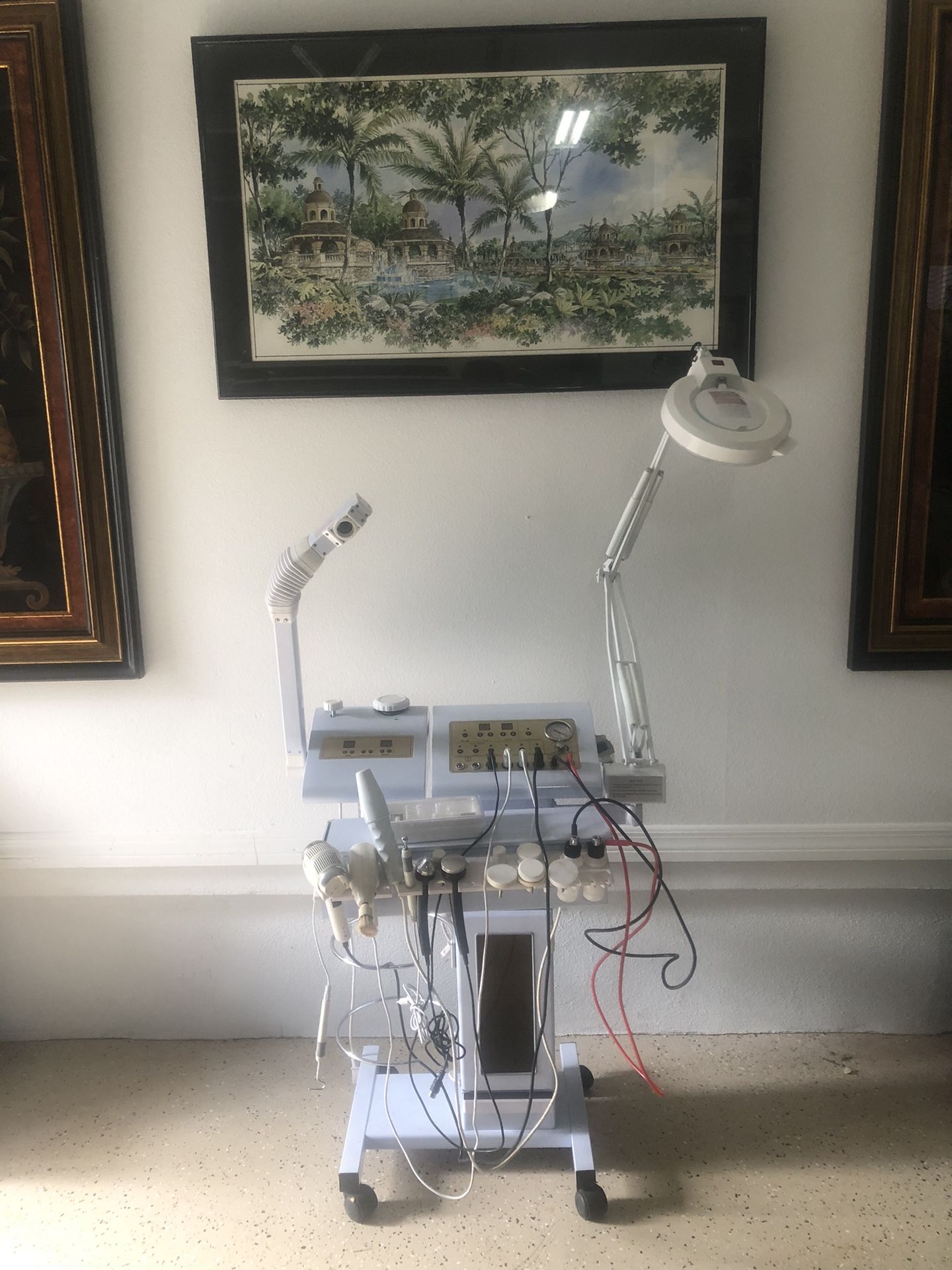 12-1 Multifunction Facial Machine