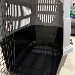 Dog Kennel 