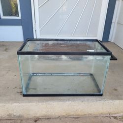 10 Gallon Tank!