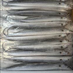 Hook  &  Line Caught Frozen Ribbon Fish 2 Per Pack