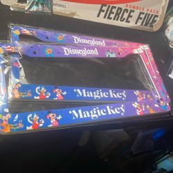 **NEW** Disneyland Magic Key License Plate Frame 2026
