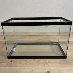 10 gallon fish tank/aquarium 