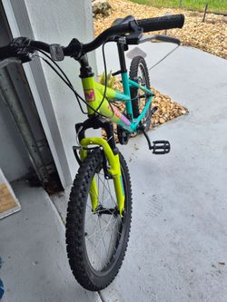 Dynacraft 20-Inch Kids Mountain Bike