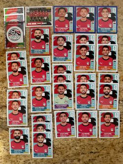 FIFA World Cup Panini Stickers