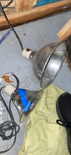 2 Reptile Heating Lamps