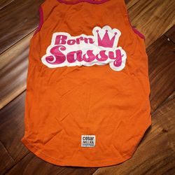 Pet dog Cesar Milan born sassy shirt. Size large 
