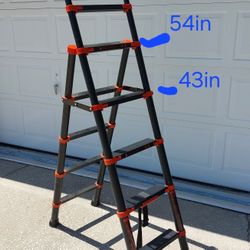 Telescopic Ladder 