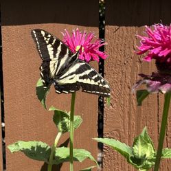 Yard sale July 11 & 12 ….9:00 Am - 5:00 Pm