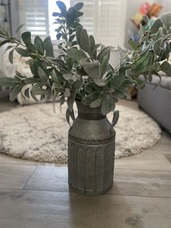 Eucalyptus In jar