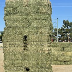 Hay For Sale 