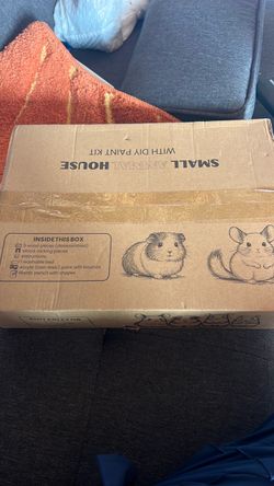 Small Animal House with DIY Paint Kit
