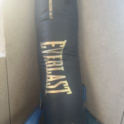 100 Pound Everlast Punching Bag 