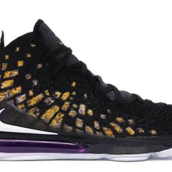 Nike Lebron 17 