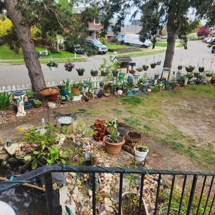 Garden Sale 