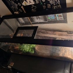 Tank In Great Condition,  2ft-6inches Long And 12 Inches Tall 