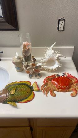 Seashell collection