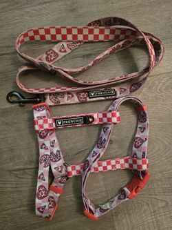 Frenchie Dog leash and Harness
