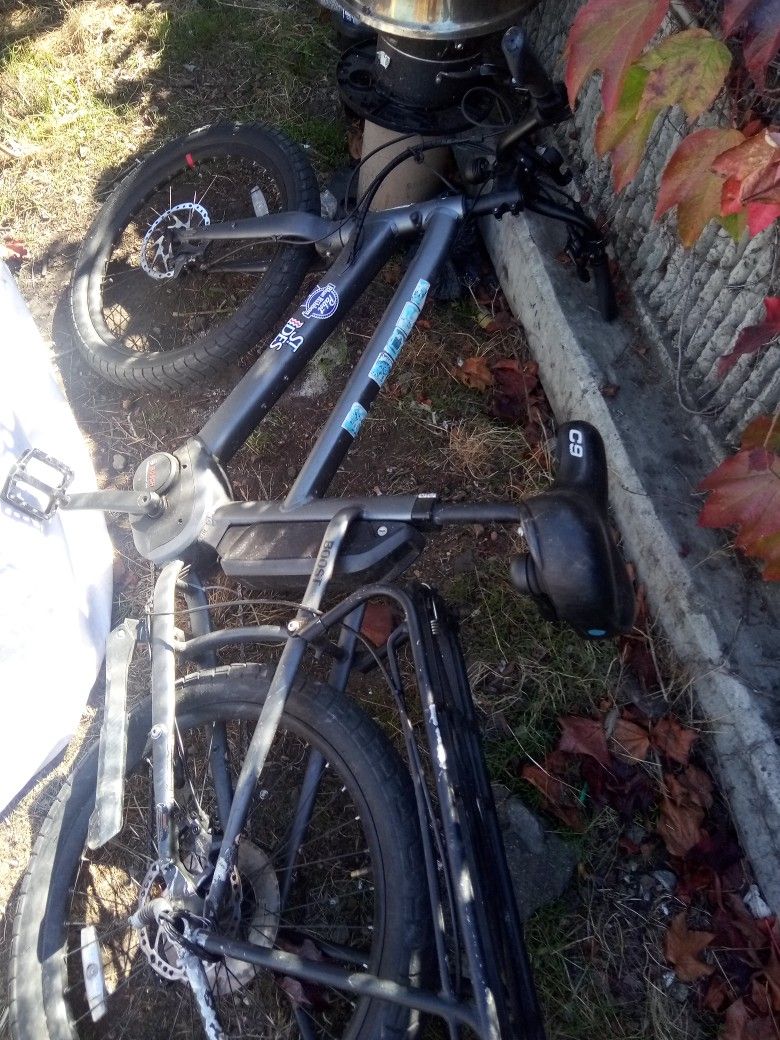 Bosch Boost Electric Bike