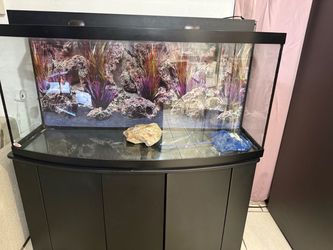 65 gallon fish tank comes with the table shown