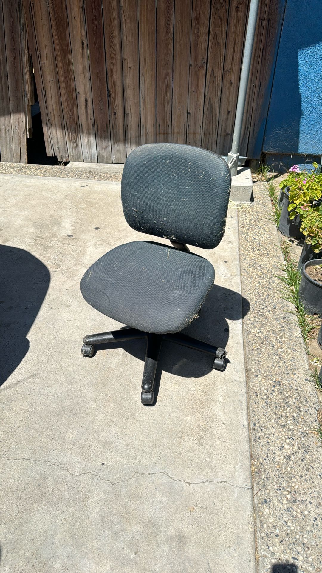 Chair Office / Desk Chair