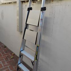 Aluminum Ladder 