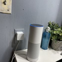 Speaker 