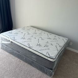 NEW QUEEN PILLOW MATTRESS AND BOX SPR+ING 2pcs
