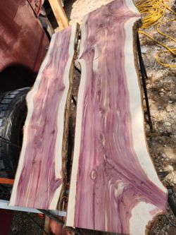 Cedar Wood Slabs from 34" To 54" long