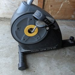Gold's Gym Cycle Trainer 300 Ci Exercise Bike