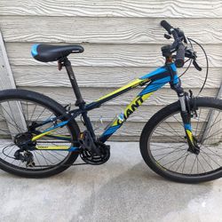 Giant Revel 2 Hybrid Bike 2016 OBO