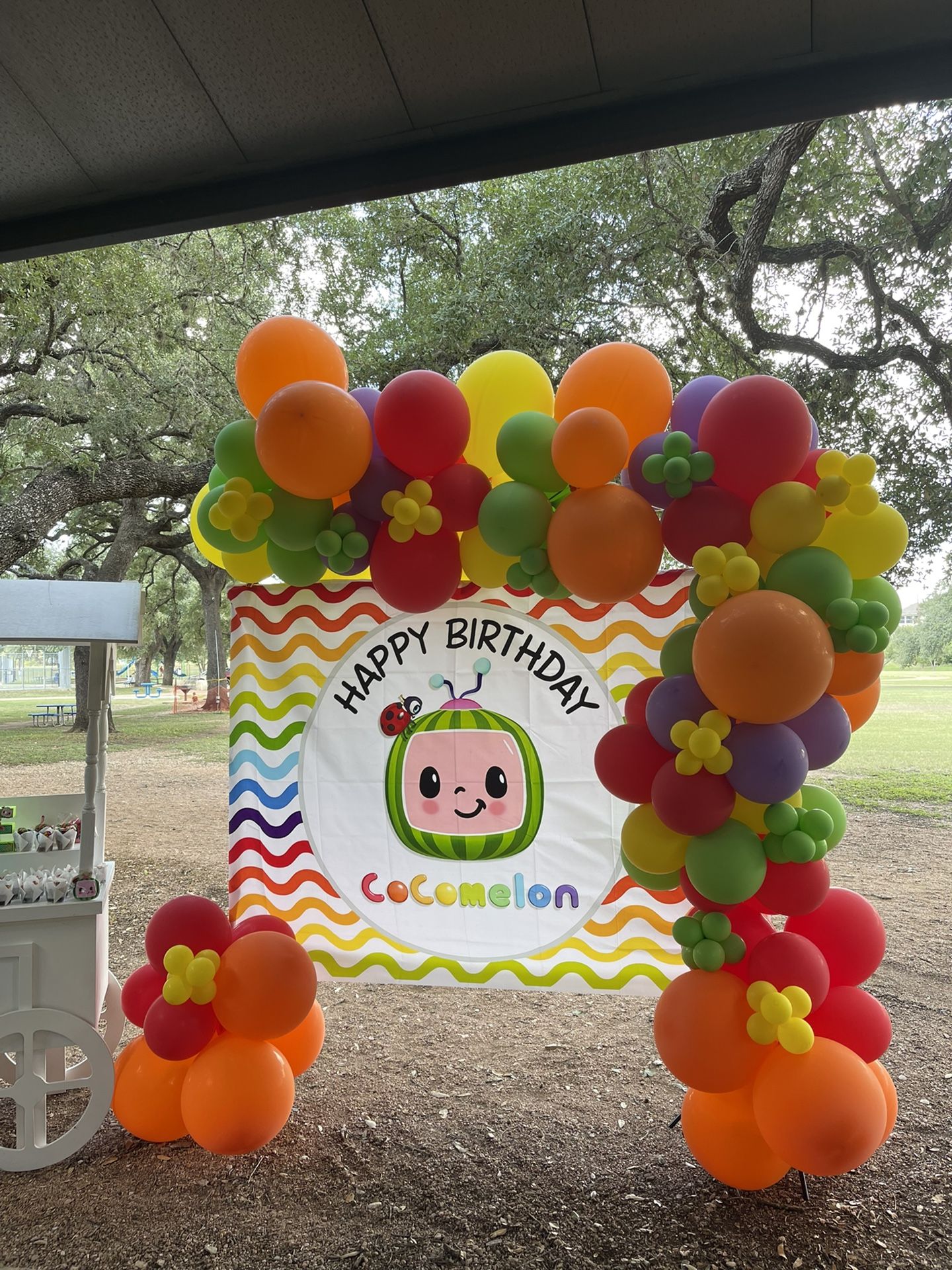 CocoMelon Birthday Party Package 