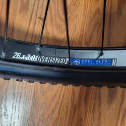 Two 3.0 Rims with 2.80 Tires