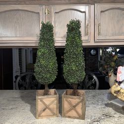 Faux Boxwood Topiaries 