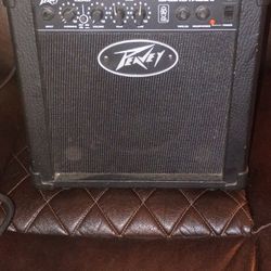 Peavey Speaker Amp