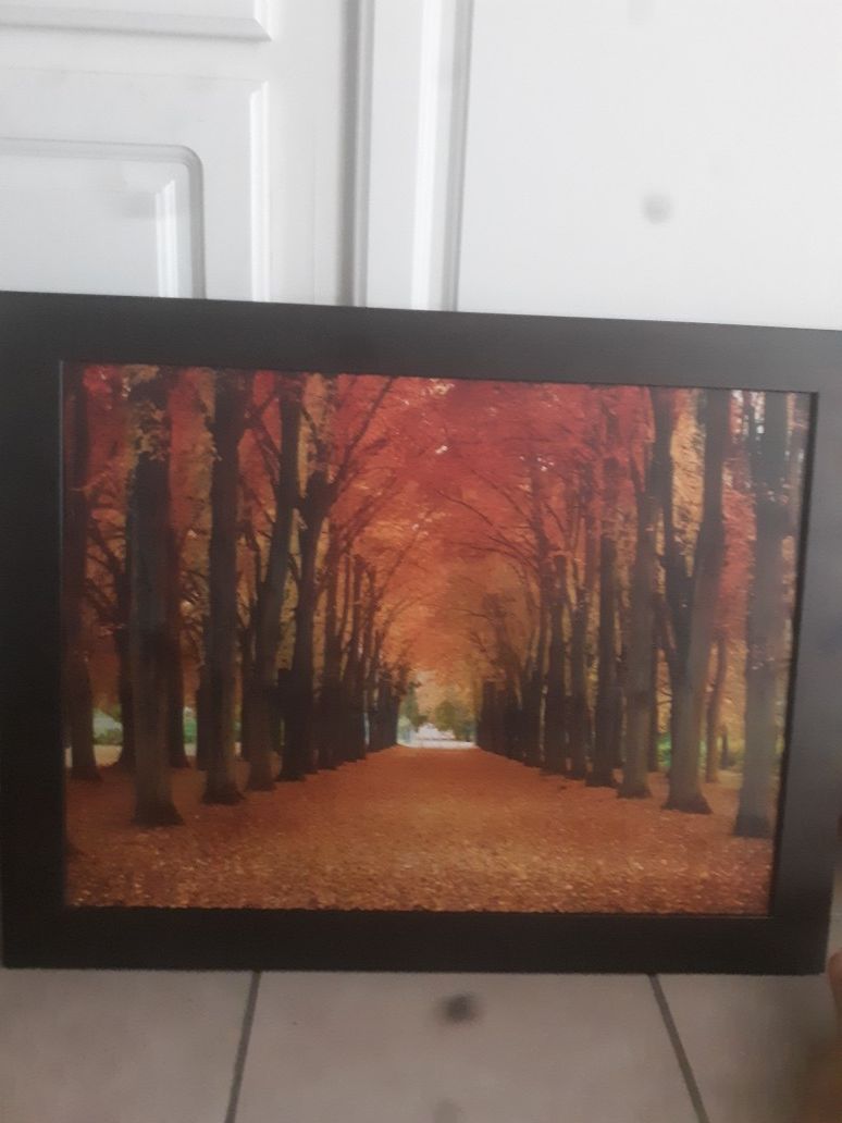 26 X21 dark wood framed fall picture